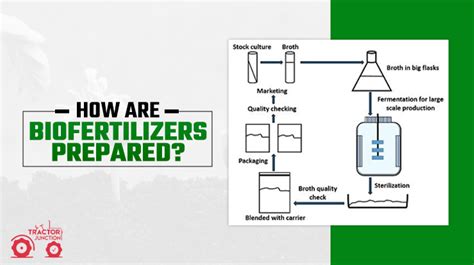 Biofertilizers Definition - Types of Biofertilizers and Its Benefits