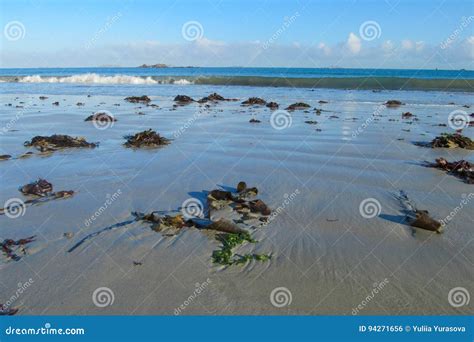 Sea tide waves stock photo. Image of golden, scenic, idyllic - 94271656