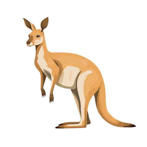 Australia S Kangaroos Jumping Marsupials, Animal, Clipart, Cartoon PNG Transparent Image and ...