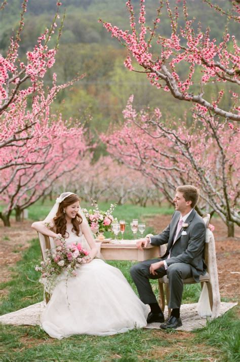 Cherry Blossom Wedding Ideas - Elizabeth Anne Designs: The Wedding Blog