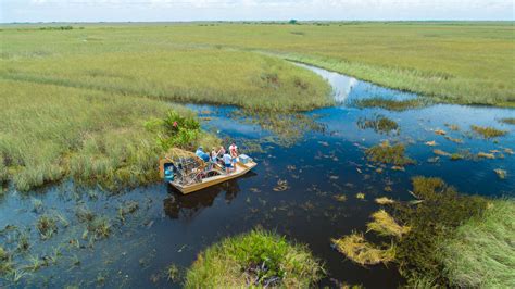 Things to Do in Everglades National Park: Biking, Snorkeling & More - Thrillist