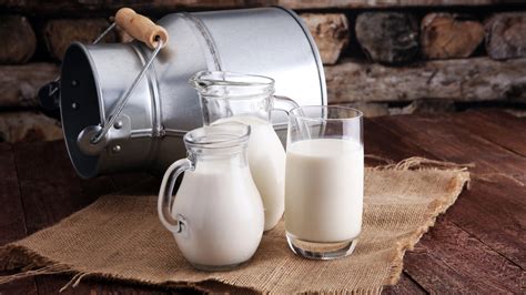 Things to Consider before Starting a Milk Distribution business