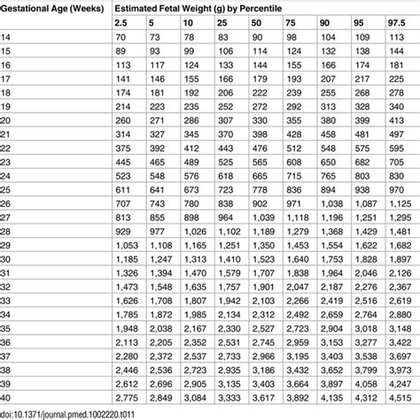 Fetal Growth Chart By Month