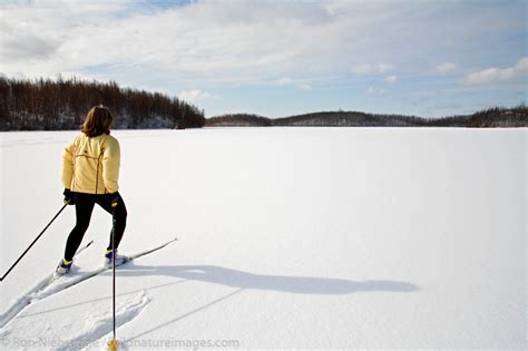 Wasilla, Alaska | Photos by Ron Niebrugge