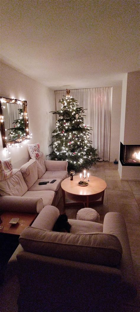 little late with the Cozy Christmas tree : r/CozyPlaces