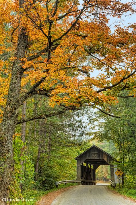 Pine Brook Covered Bridge, Vermont | Nature Notes | Covered bridges ...