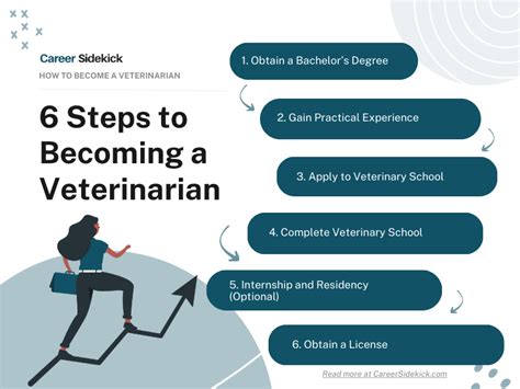 How to Become a Veterinarian – Career Sidekick