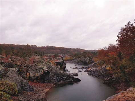 Nature Walk (Photography)