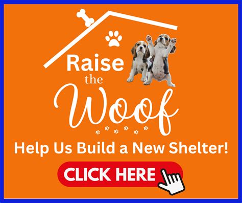 Shelter | Humane Society of Northern Kentucky