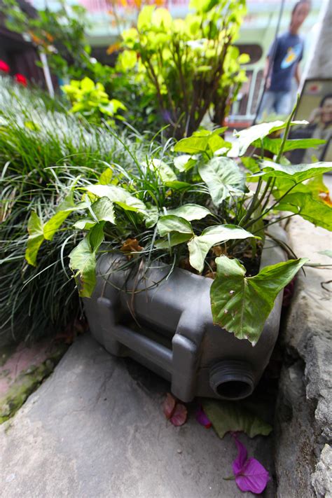 5 DIY Planters From the Himalaya | Trash Backwards Blog