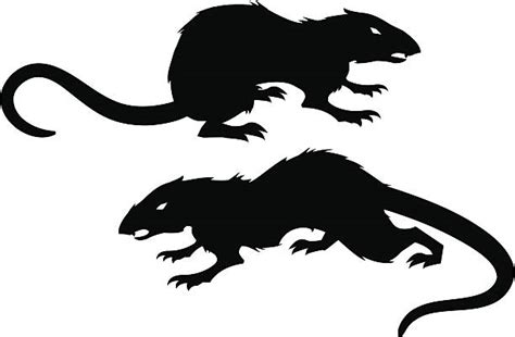 Evil Rat Illustrations, Royalty-Free Vector Graphics & Clip Art - iStock