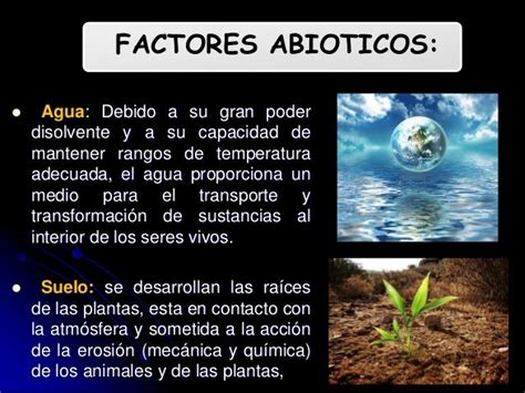 Factores bioticos y abioticos