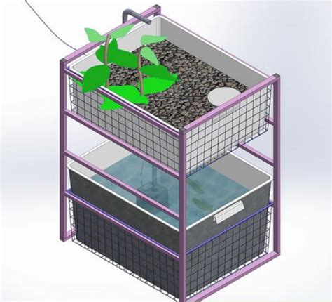 25 DIY Aquaponics System To Suit Any One - Craftsy