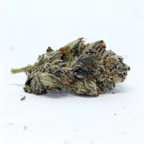 Slapz Weed Strain Reviews, Information & Effects