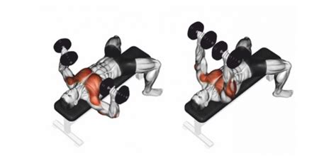 Flat Dumbbell Press | StrengthBuzz