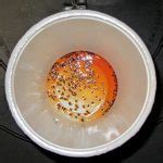 Make Your Own Fruit Flies Trap to Get Rid of the Annoying Bugs! – HomesFeed