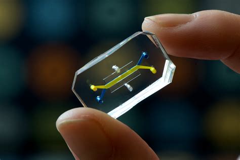 Human organs-on-chips named Design of the Year 2015