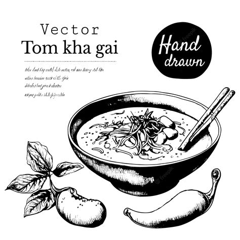 Premium Vector | Tom kha gai thai food chicken coconut soup hand drawn vector illustration