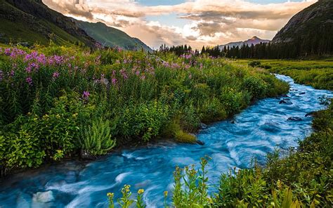 HD wallpaper: USA, Colorado, river, flowers, mountains, sunset, clouds ...