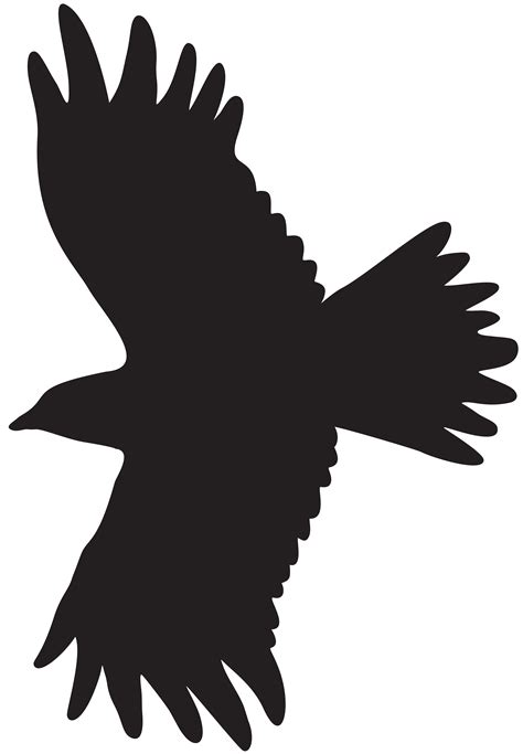 Flying Bird Silhouette PNG Clipart | Gallery Yopriceville - High ...