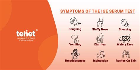 Immunoglobulin E Serum Test: Purpose, Procedure, Results, Cost