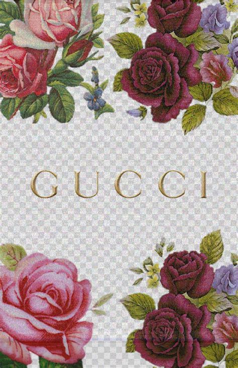 Cute Gucci Wallpapers - Top Free Cute Gucci Backgrounds - WallpaperAccess