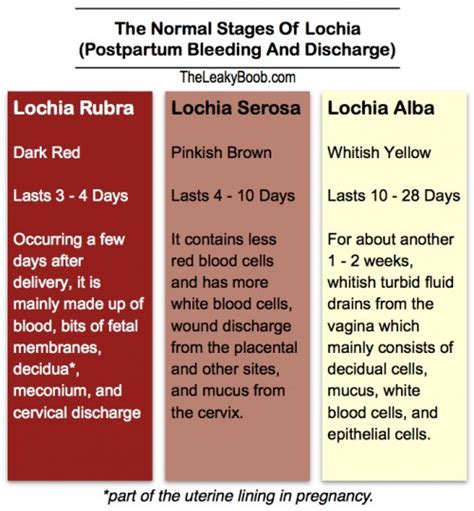 Normal Postpartum Bleeding and Discharge and the Return of Your Period After Giving Birth | The ...