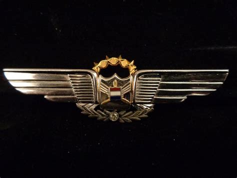 Lot - Vintage United Airlines Pilot Wings Pin