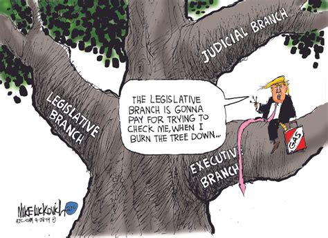 Political Cartoon U.S. Trump legislative judicial executive branch impeachment 2020 election ...