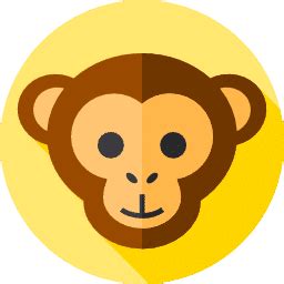 Qr Code Monkey - Crunchbase Company Profile & Funding