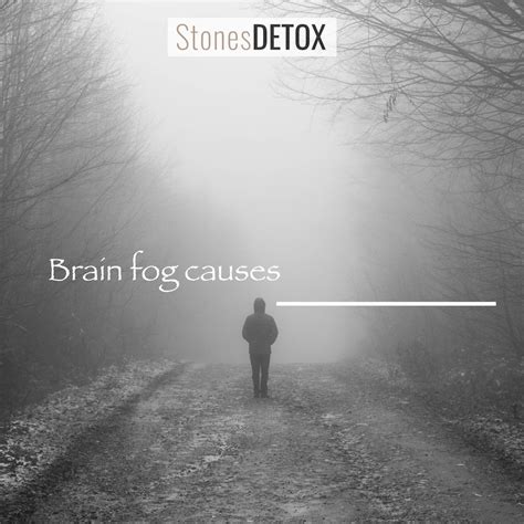 Brain Fog Causes | The 1 Main Culprit Heavy Metals And Its Best ...