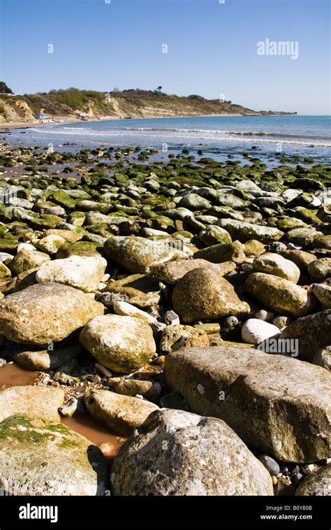 Whitecliff Bay beach on the Isle of Wight Stock Photo - Alamy