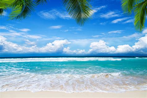 Summer Beach Paradise Wallpapers - Top Free Summer Beach Paradise Backgrounds - WallpaperAccess