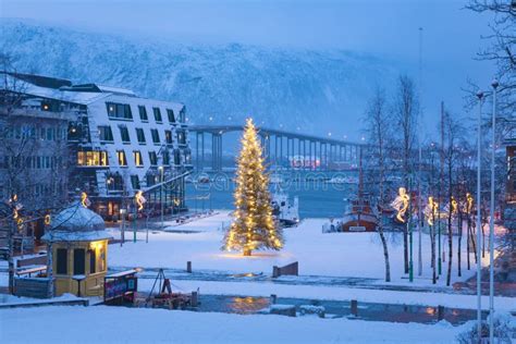 Christmas Tree in Tromso Norway, Tromso at Winter Time, Stock Image - Image of blue, landscape ...