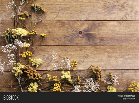 Dried Flowers On Rustic Wooden Image & Photo | Bigstock