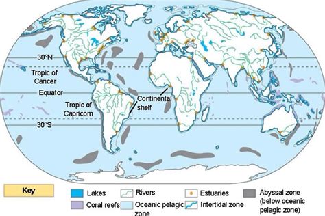 Estuary Biome Map