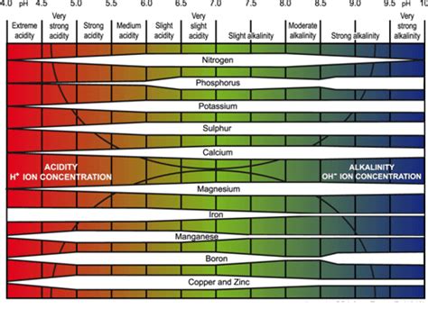 The effect of pH on nutrient availability (after Goatley, 2011) | Download Scientific Diagram