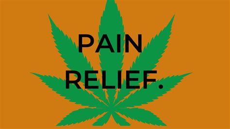 Managing Chronic Pain with Medical Cannabis: An Evidence-Based Perspective. - The Seed Connect