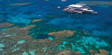 Quicksilver Reef Trip, Port Douglas - Everything Australia