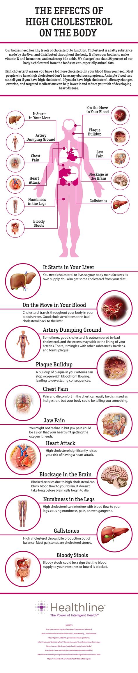 11 Effects of High Cholesterol on the Body