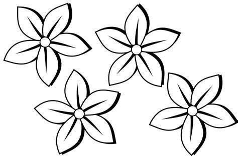 Draw Beautiful Flower Patterns