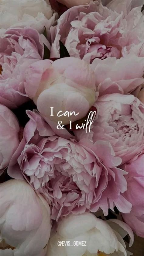 i can & i will | Pink wallpaper quotes, Pretty wallpapers, Flower ...