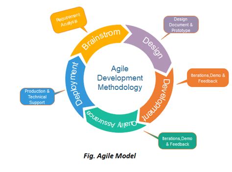 Agile Model (Software Engineering) - javatpoint