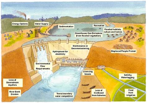 Environmental Impacts of Dams