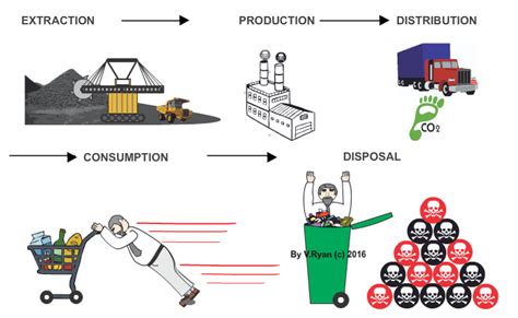 THE MATERIALS ECONOMY(A LINEAR SYSTEM)