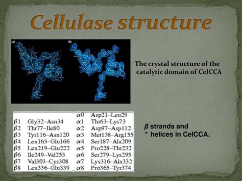 PPT - Cellulase enzyme PowerPoint Presentation, free download - ID:5735640