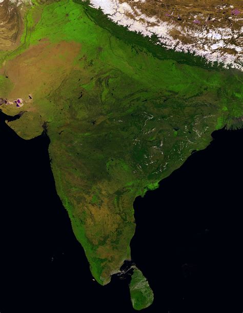 Stunning image of India's vegetation cover taken by ESA's Proba-V satellite on 14 March 2014 : r ...