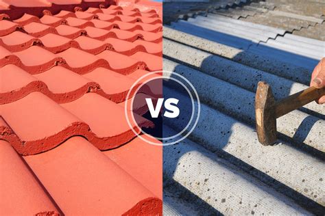 Can You Paint Roof Tiles? (Types, Cost, Method, Tips & More)