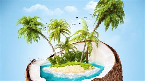 Coconut Tree Wallpapers - Top Free Coconut Tree Backgrounds ...