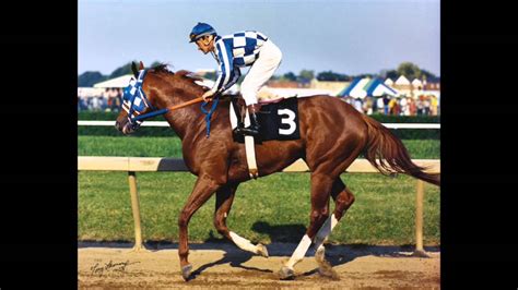 Image Gallery secretariat racehorse